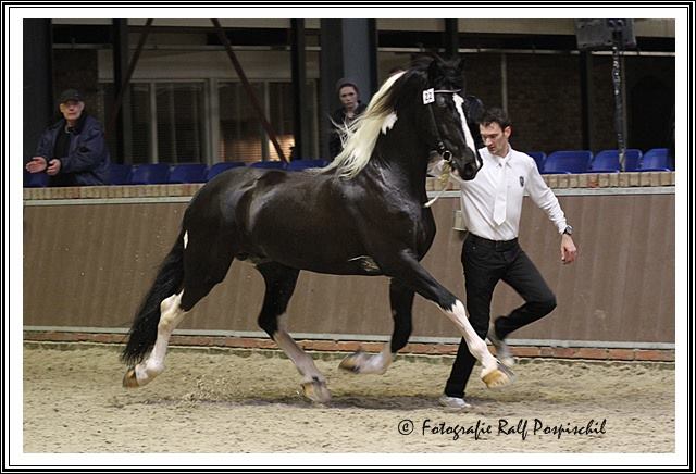 Maurits HK 2014. Foto: Ralf Pospishil