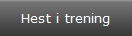 Hest i trening