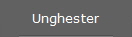 Unghester