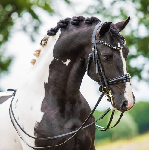 Foto: Iris van Meijl